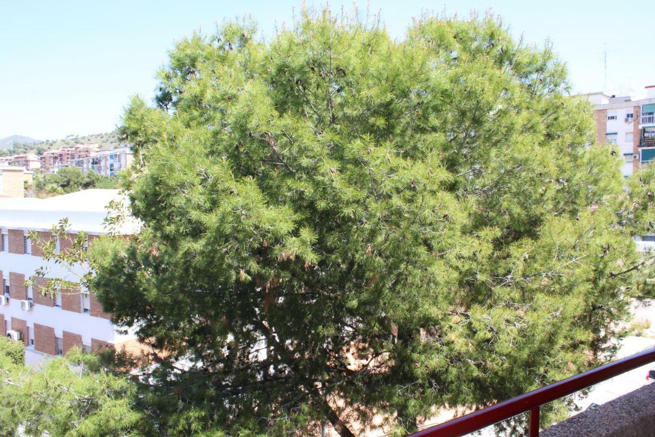 Apartamento Con Parking Gratuito Málaga Exteriör bild